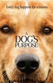 Can Dostum - A Dog’s Purpose
