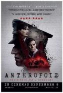 Anthropoid