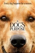 Can Dostum - A Dog’s Purpose