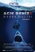 Cage Dive - Açık Deniz 3: Kafes Dalışı