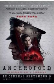 Anthropoid